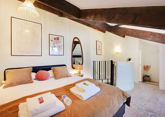 Charming Duplex - 1br-2p - Le Marais